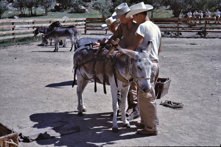 Burro Corral Ponil Scene from Philmont Trip 1962
