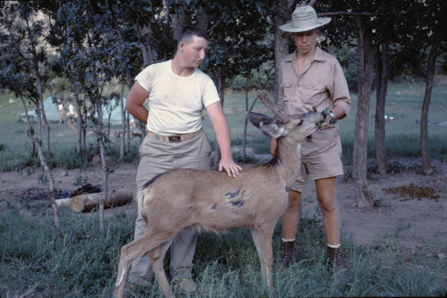 Tame Deer John Petersen Joe Nemeth Indian Writings Scene from Philmont Trip 1962