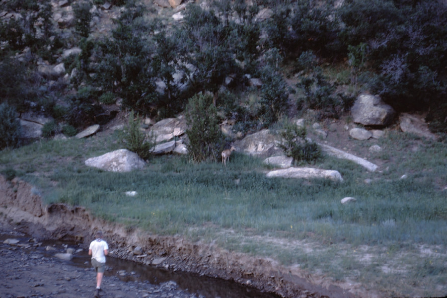 Across Creek Indian Writings Scene from Philmont Trip 1962