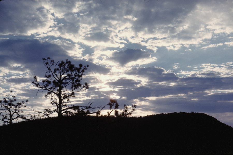 Early morning Cimarroncito Scene from Philmont Trip 1962