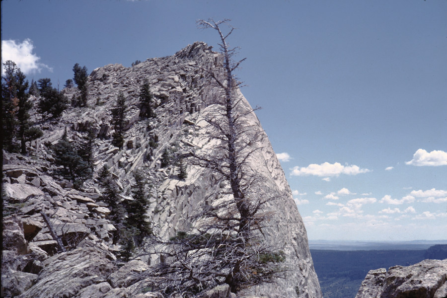 Clark's Fork to HQ Scene from Philmont Trip 1962