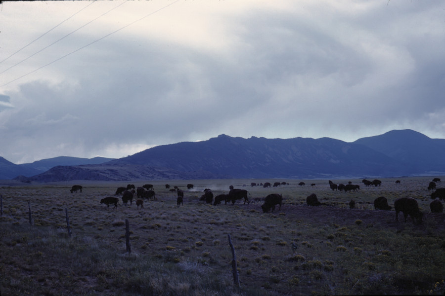 <i>no notes on slide</i> Scene from Philmont Trip 1962