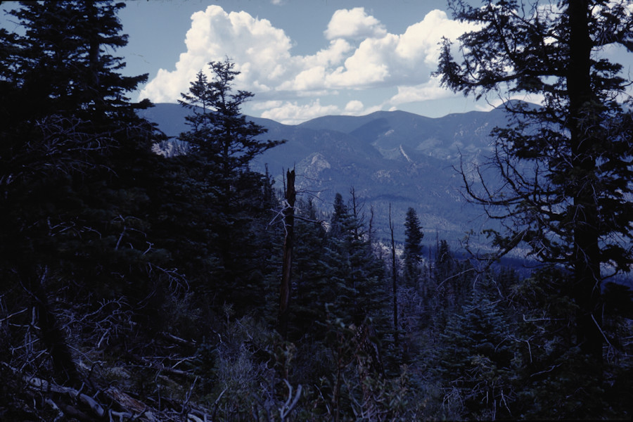 Clark's Fork to HQ Scene from Philmont Trip 1962
