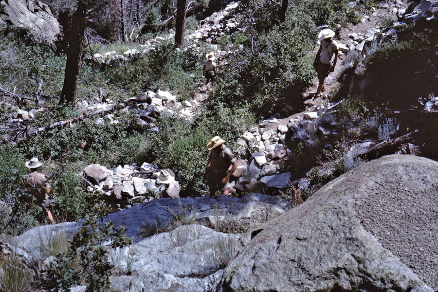 Clark's Fork to HQ Scene from Philmont Trip 1962