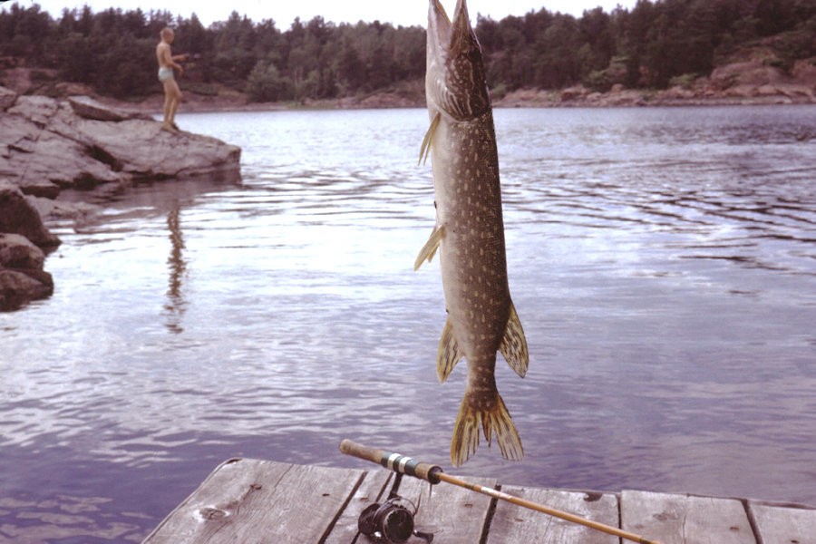 <i>no notes on slide</i> Scene from Tinnerman trip 1963